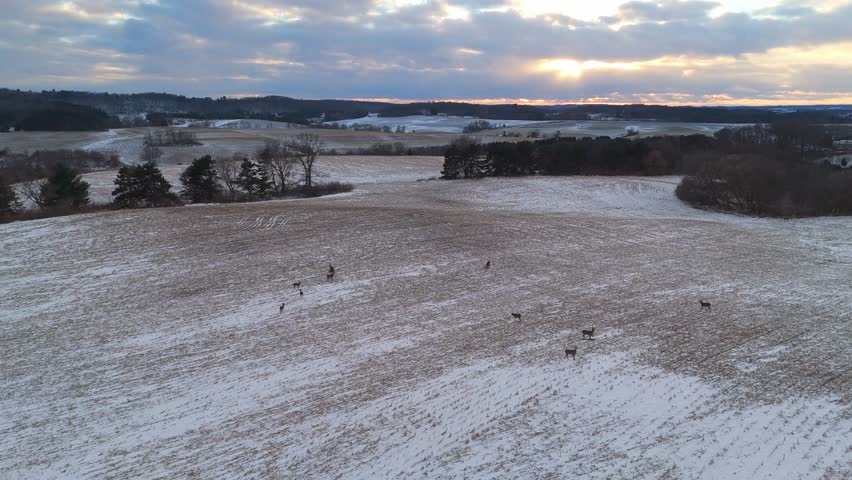 Aerial view of the Wisconsin countryside blanketed in snow, with a small pack of deer moving across frozen fields and winding rural roads.