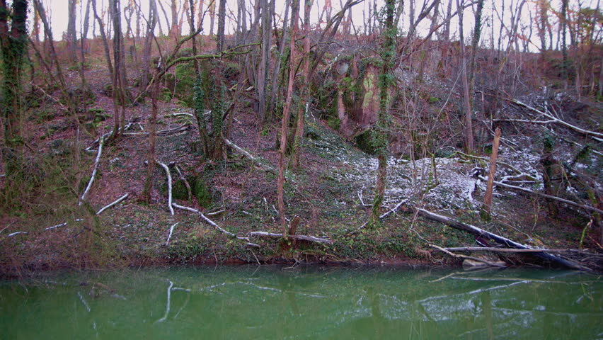 Calm river with a fallen old tree in the water. Green grass on the near bank and a dense forest on the opposite shore. Slow current and peaceful woodland scenery in the countryside nature.