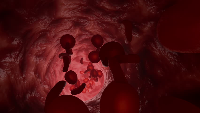 High detail 3D medical animation showing red blood cells flowing through a narrow artery tunnel, illustrating human blood circulation and cardiovascular system.