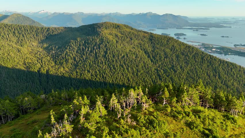 Aerial view of a lush green forest covering the mountainous terrain, with a shadow falling on the trees, Sitka, Alaska, United States.