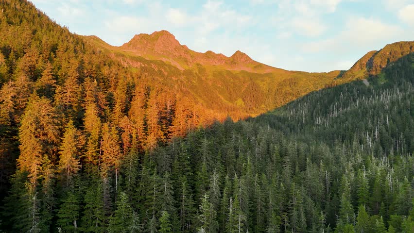 Aerial view of a mountain range and dense forest with trees, where some parts are bathed in warm light and others in cool shadow, Sitka, Alaska, United States.