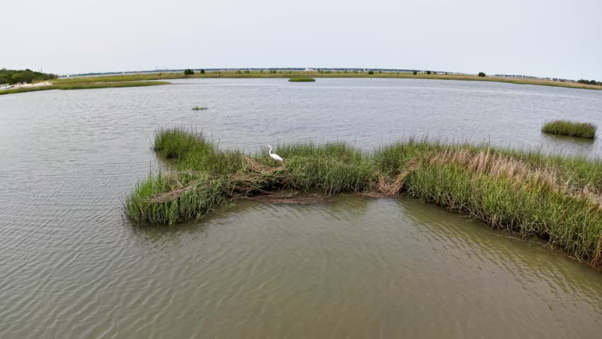 Drone footage capturing small grassy islets in a tidal marsh near Charleston, South Carolina. Calm water surrounds the green marsh vegetation and a white bird perches on one island.
