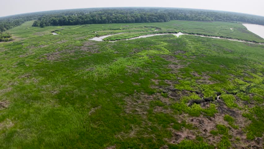 Drone footage showing an expansive grassy marshland near Charleston South Carolina with green and brown patches and a distant tree line on the horizon