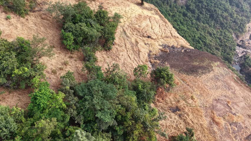 Aerial shot of the cliff with dog in Top view at Pune Maharashtra India