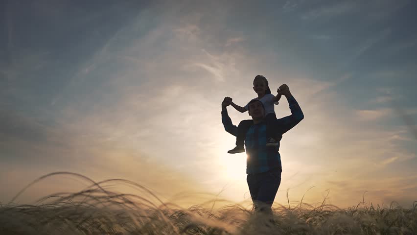 Parent walking through field with child on shoulders. Father and boy playing outdoors at sunset. Kid smiling while dad walking. Child enjoying ride in meadow. Father and son in golden evening