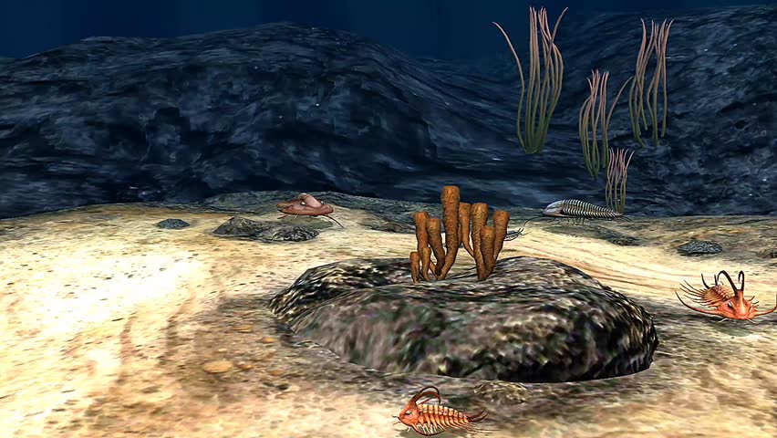 3d animation of trilobites in ocean showing ancient arthropods crawling and swimming on seafloor