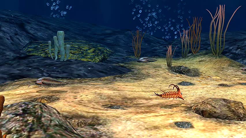 3d animation of trilobites showing segmented exoskeleton, compound eyes, and marine habitat movement