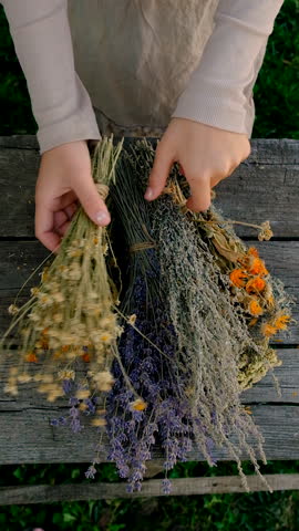 Woman with dried medicinal herbs. Selective focus.