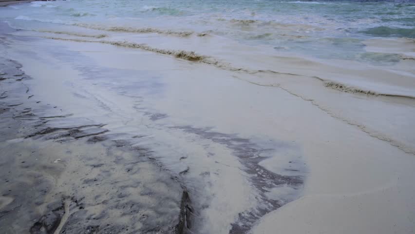 Pollution of nature and sand with vegetable oil on the beaches of Odesa, an environmental disaster in the Black Sea, an accident and leakage, the death of aquatic organisms and birds in the sea