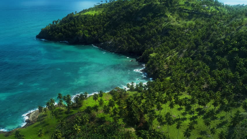 Drone pans from tropical forest to blue sea then orbits along coastline in Thailand