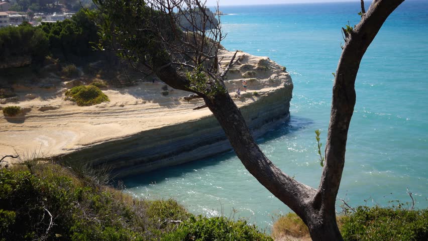 Scenic Tree Framing View of Canal d'Amour Cliffs and Turquoise Sea in Corfu