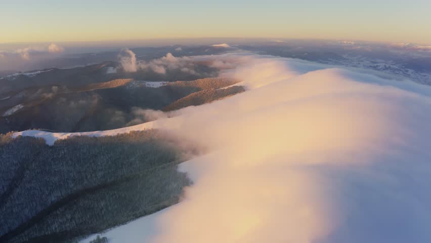 Cloud waves gently and slowly flow over the tops of snow-capped mountains covered with spruce forests at a cold sunset