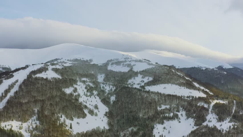 High snowy mountain covered with evergreen fir trees on a sunny cold day