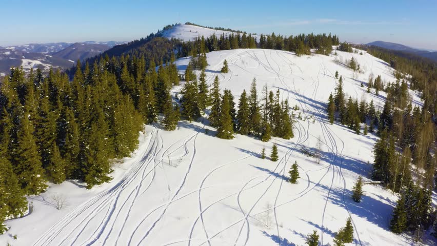 Empty snow-covered forests on snow-white slopes of mountains and hills in the Carpathian Valley