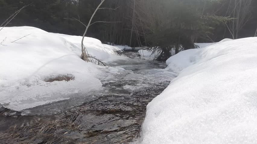 A spring stream in a winter forest.