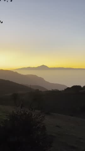A beautiful landscape shot from a grassy hillside at dawn or dusk in Gran Canaria. The foreground features dark, silhouetted trees and bushes on a slope. In the mid-ground, rolling mountain ridges fade into a thick layer of golden mist and clouds. In the far distance, a sharp volcanic peak stands out against a bright yellow horizon. The lighting is warm and hazy, creating a dreamlike, painterly quality to the mountain layers.