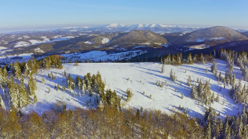 High snowy mountain covered with evergreen fir trees on a sunny cold day
