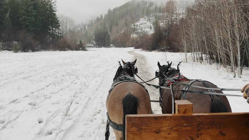 View from a sleigh as two horses pull a wooden cart along a snowy mountain road. Winter rural landscape with forest, hills, and traditional transport in cold weather.