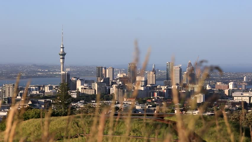 Grass moves in wind with Sky Tower and Auckland  City beyond, New Zealand