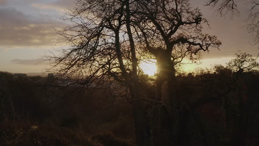 Shot revealing Clifton Suspension Bridge in Bristol UK at sunrise from behind the branches of a tree