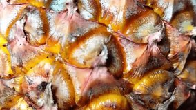 "Close-up of ripe pineapple skin texture, showcasing vibrant yellow and brown organic patterns." - Powered by Shutterstock - Get 15% off with code: PIKWIZARD15