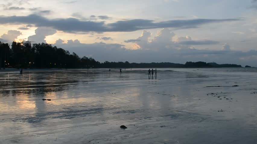 Afternoon at the beach while low tide