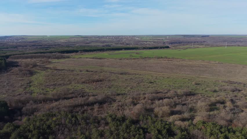Aerial drone view of rural landscape with forest edge, fields, dirt road, peaceful countryside scenery, natural environment, wide horizon.