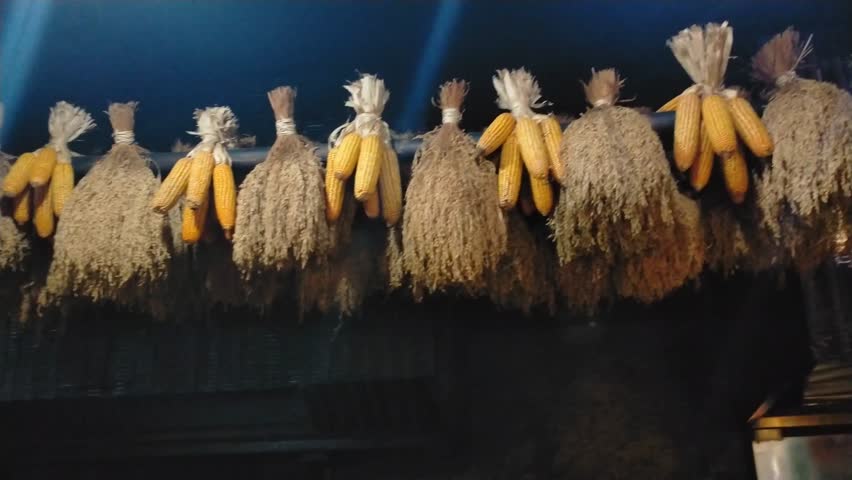 The interior of a traditional kitchen with a burning wood burning stove and cooking pots, smoke billowing out, gives it a rustic charm.