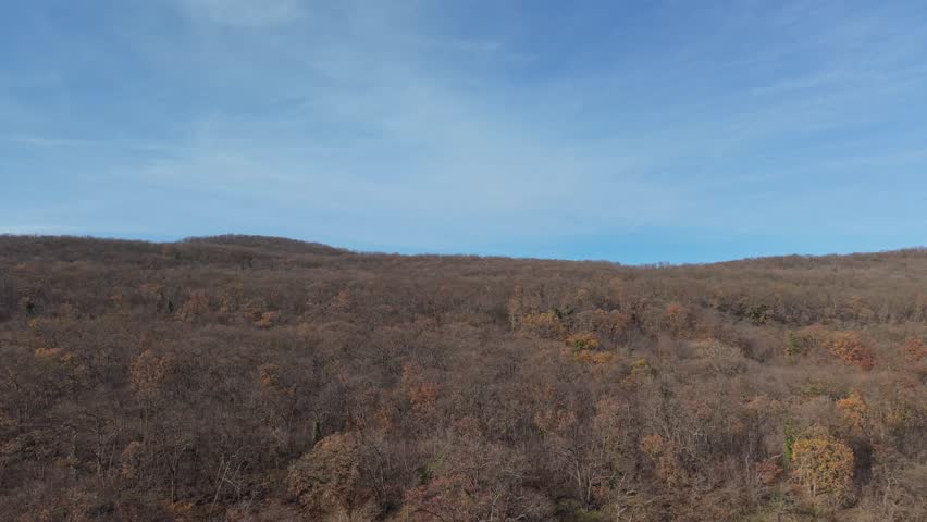 Aerial view of vast autumn grassland under clear blue sky, peaceful natural landscape captured by drone, minimalistic rural scenery.