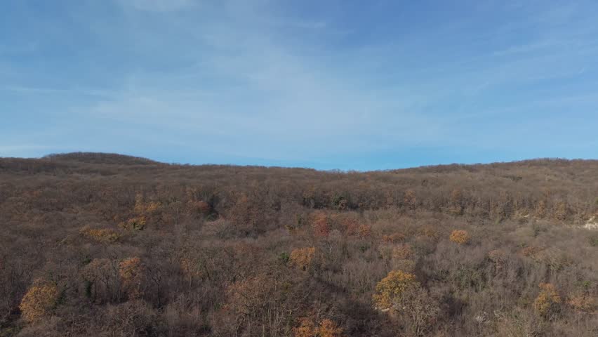 Aerial view of vast autumn grassland under clear blue sky, peaceful natural landscape captured by drone, minimalistic rural scenery.