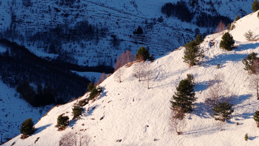 Winter Snow Texture on Alpine Mountains cliff with trees landscape, Aerial View