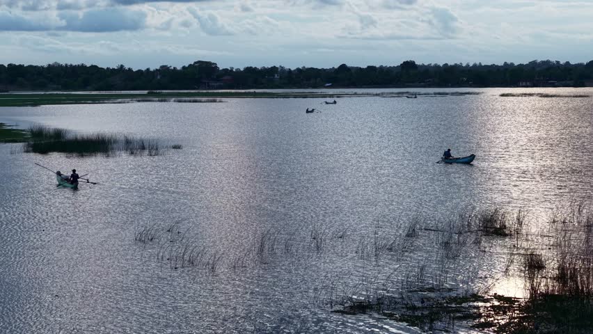 Small boats with people rowing across shimmering lake water surrounded by reeds under soft daylight creating a peaceful rural scene
