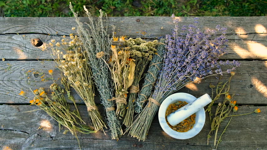 Woman with dried medicinal herbs. Selective focus.