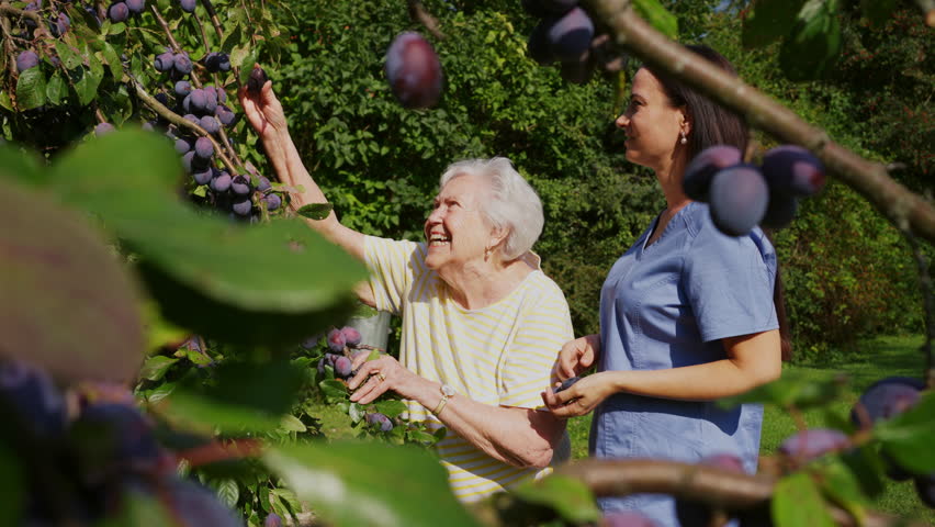 Home nurse spending time with elderly lady patient in garden.