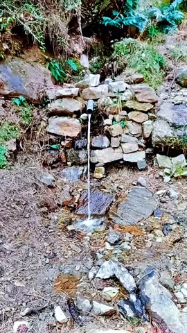 Experience a natural, beautiful spring with icy-cold water in summer and warm water in winter. Known for its healing properties, this serene spring offers refreshment, wellness, and a peaceful connect