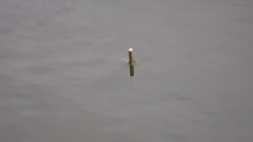 A fishing bobber is floating on the body of the water for catch the fish