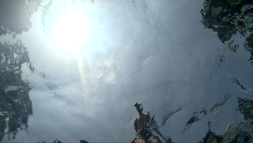 Underwater shots of people swimming in clear water during daytime