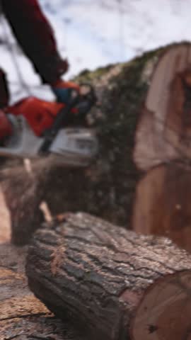 Lumberjack woodcutter with chainsaw in uniform cutting a massive tree in the winter forest, logger sawing and chopping firewood timber tree trunk on sawmill, lumberman at work, sawdust and woodchips