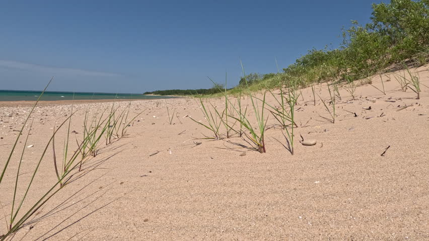 Beach and Sand Dune Landscape on Lake Michigan. Stationary views of sand dunes with wild marram grass on the beach of Lake Michigan. Coastal vegetation ecosystem located within Wilderness State Park in Northern Michigan, USA.