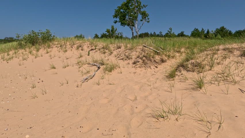 Beach and Sand Dune Landscape on Lake Michigan. Climbing through sand dunes on the beaches of Lake Michigan. Unspoiled nature located within Wilderness State Park in Northern Michigan, USA.