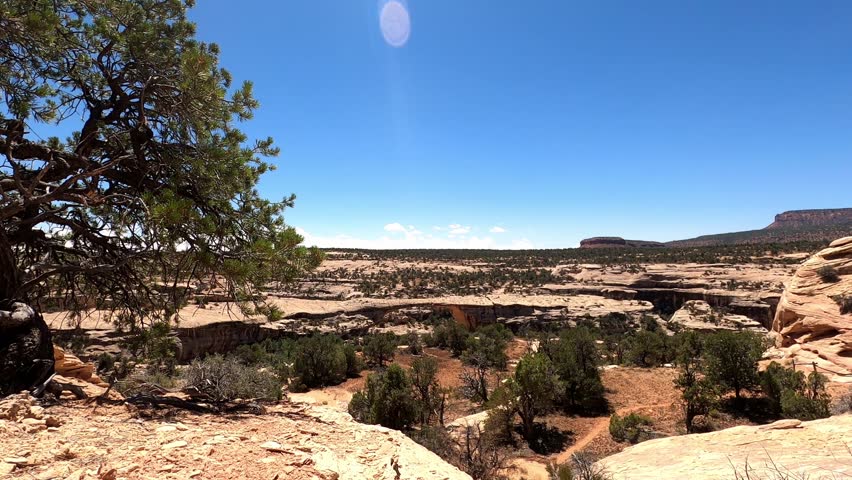 Utah 0247 Natural Bridges National Monument Arches Desert Landscape