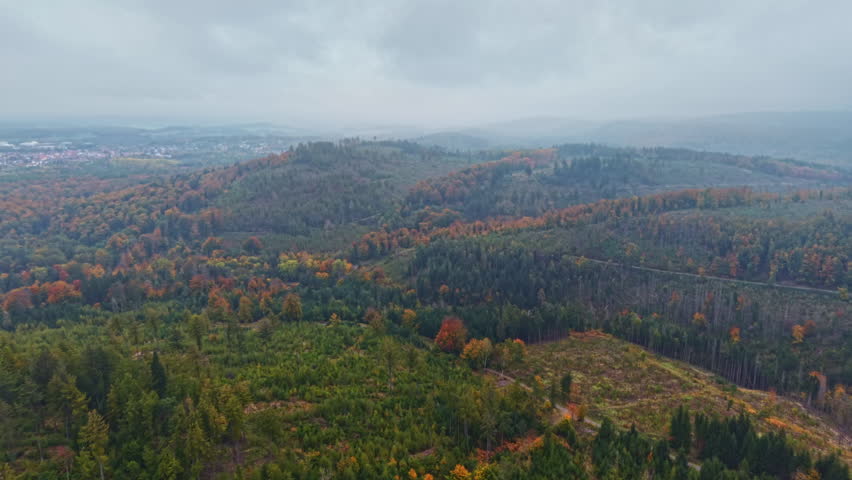 A stunning aerial perspective reveals a vast forest in autumn, with trees displaying shades of orange and yellow. The gentle rolling hills are nestled under a soft, cloudy sky.