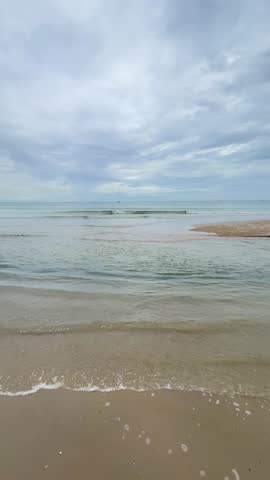 White little egret on beach