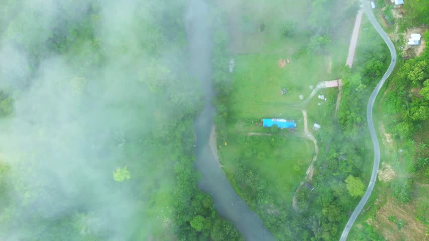 Aerial View of River and Forest Landscape