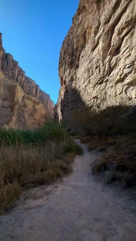 Hiking a Canyon Trail with Tall Grasses Towards the Rio Grande (Big Bend National Park, Texas, USA)