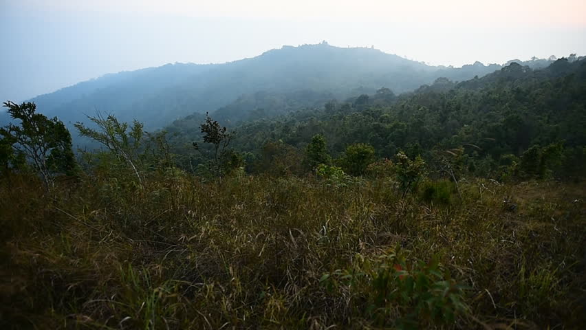 Mountain Landscape with Forest at Daytime