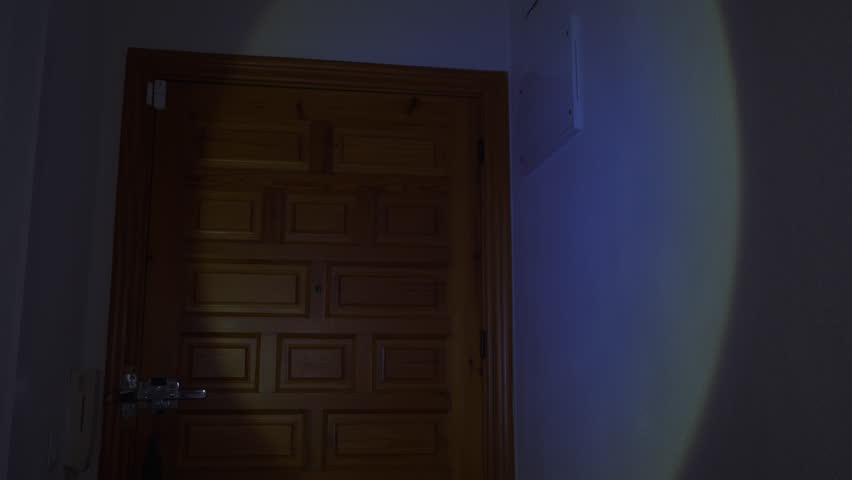 Female in dimly lit home holding flashlight and fuse box cover, inspecting circuit breakers during a blackout, symbolizing residential power outage and energy crisis challenges