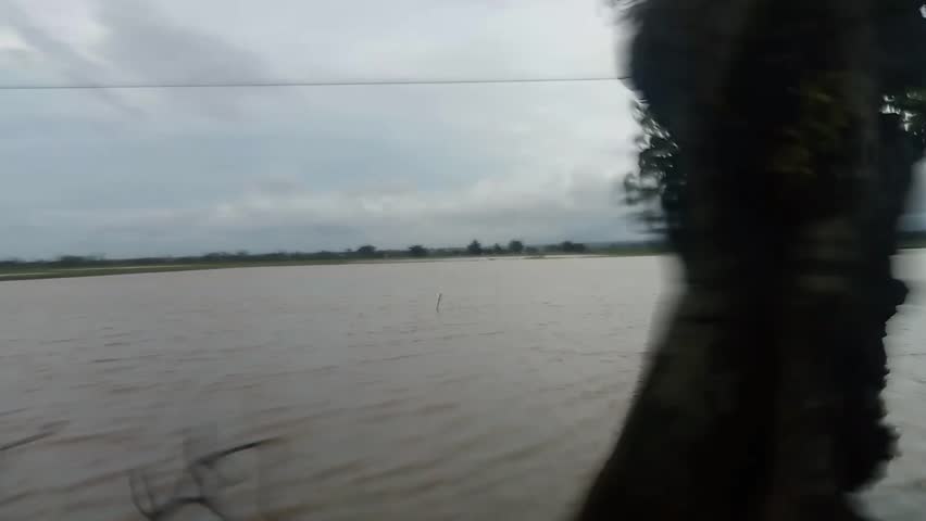 Panoramic view of a vast lake or flooded fields under a cloudy grey sky, captured from a moving vehicle with trees passing by in the foreground.