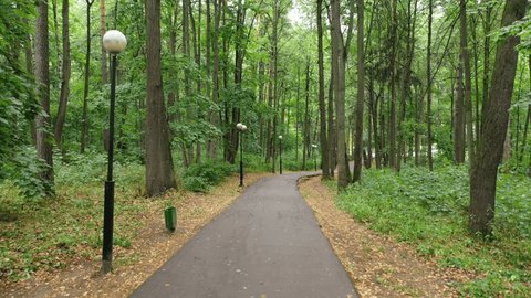Drone Flying Forward above Park Pathway
