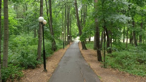 Forward Drone Flight along Forest Park Path